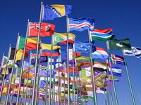 flags of many different countries 