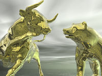 Bull Versus Bear Image