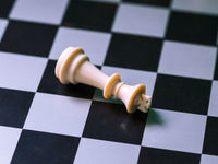 Chess Fallen King