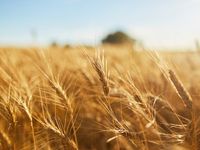 ETF Pick of the Month: Follow the Money to Alternatives