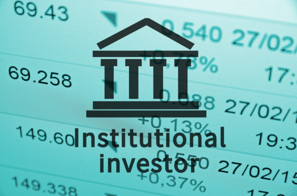 Who Are Institutional Investors?