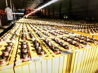 A Big Holding in Lithium ETF is Looking to Boost Output