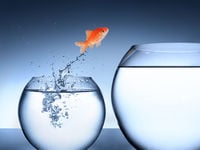 Direxion to Change Indexes For Pharma, Real Estate ETFs
