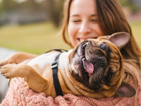 There’s Power in PAWZ Pet Care ETF