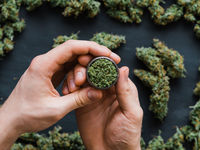 Low-Cost ‘TOKE’ Cannabis ETF Hits the Market 