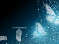 Direxion’s Position on the Current Market Cycle
