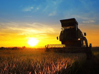 Assessing The Issues With This American Agribusiness ETF