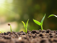 Will Inverse ETFs Thrive In September?