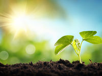 Growth ETFs Could Have Some Say In Value Debate