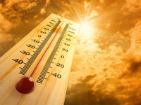Gold and Leveraged Treasury ETFs Were Hot This Summer