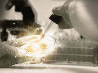 Biotech ETFs Had A Rough 3rd Quarter