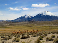 Protests Over Living Costs Send Chile ETF Reeling