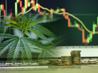 Pot Stocks, ETFs May be Ready to Perk Up