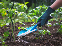 Agribusiness ETF May Get a Corn-Cobbed Boost
