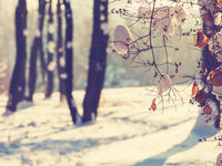 Mild Winter Season May Pressure Natural Gas ETFs