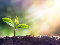 There’s Still A Bit Of Value in Growth ETFs