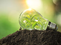 Mounting Momentum For This ESG ETF