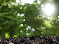 How To Go With Growth in 2020