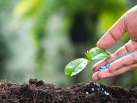 Fertilizer Stocks May Lift Agribusiness ETF