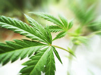POTX Positioned For a Rebound With Nice Surprise