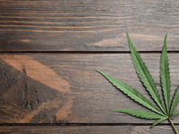 Illinois Starts 2020 With Recreational Marijuana Sales