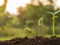 More Dividend Growth Grows Case For This ETF in 2020