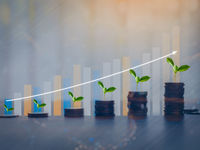 Direxion Head Discusses Growth & Value For Stocks