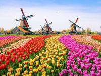 If Spending Rises, Treat May Come to Netherlands ETF