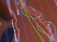 As Global Dividend Growth Steadies, Check Out EFAD