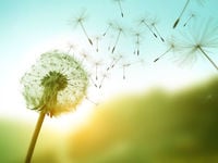 Relative Value Trade Winds Blow for U.S. Equities