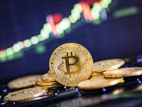 Is Bitcoin a Realistic Safe Haven in a Panicked Market?