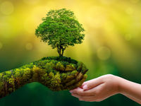 MSCI Says ESG Indexes May Eventually Outsize Indexes