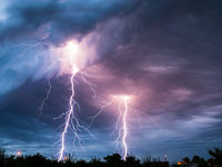 Can the Financial Sector Weather the Coronavirus Storm?