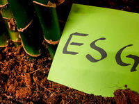 Coronavirus May Spur More ESG ETF Launches
