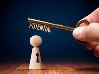 Powerful Potential With PSM, Mid/Small Fund