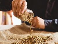 Gold Miners ETF Party Could Just be Getting Started