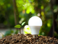 Midstream Energy Makes Move Into Renewables