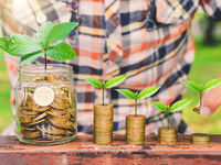 Sustainability in This Cost-Effective Vanguard ESG ETF
