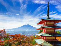 Covid-19 Cases Spike in Japan, Recovery is Underway