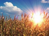 Low-Yield Climate Calls for Being Active With Preferreds