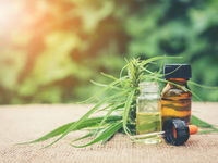 Marijuana ETFs Will Benefit from Canada’s Strong Revenues