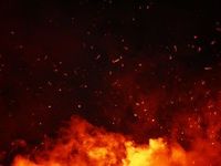 Check Out This This Rookie ETF, It's Is On Fire