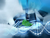 Small-Cap Biotechnology ETF Has Big Opportunity