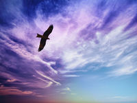 As World Waves Cash Away, This ETF Should Soar