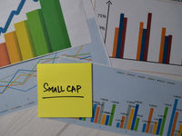 Marvelous Multi-Factor for Beating Small-Cap Lethargy