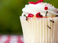 The Sweet Satisfaction of ANT ETFs