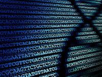 Long Read DNA Sequencing Ready for its Moment. That’s Big for th