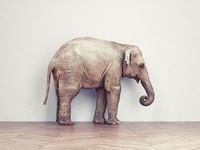 China: The Elephant in ACES' Room?