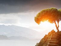 What Is Tax Loss Harvesting?