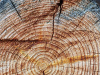 2021 And Cyclical Asset Changes
